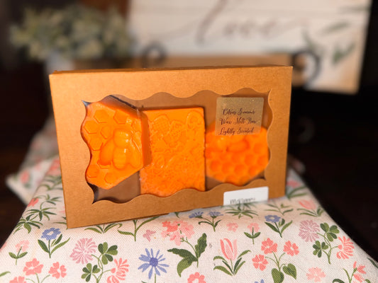 Citrus Summer Wax Melt Bars